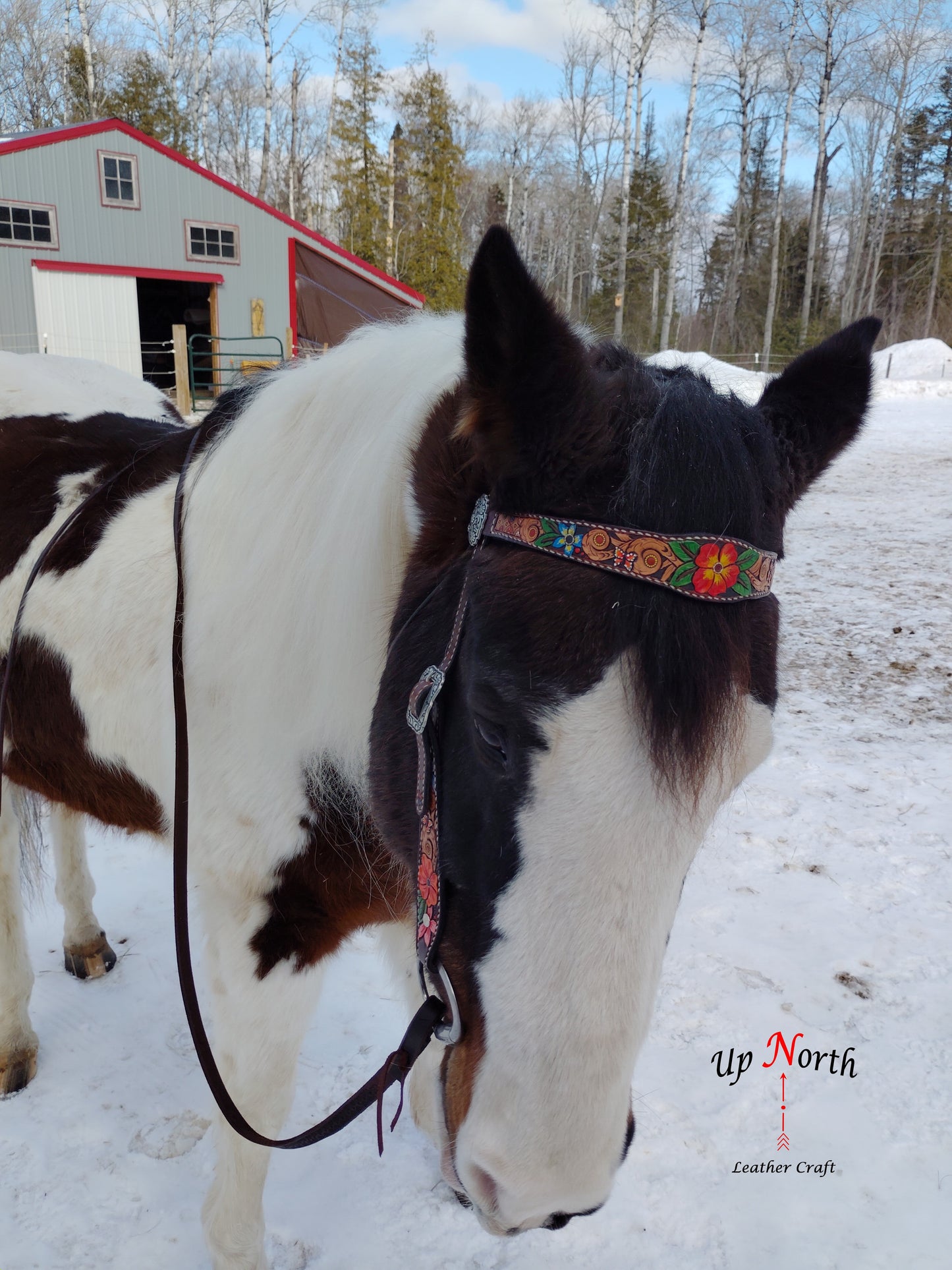 (01HB25) Tooled Leather Headstall with Browband - Primrose