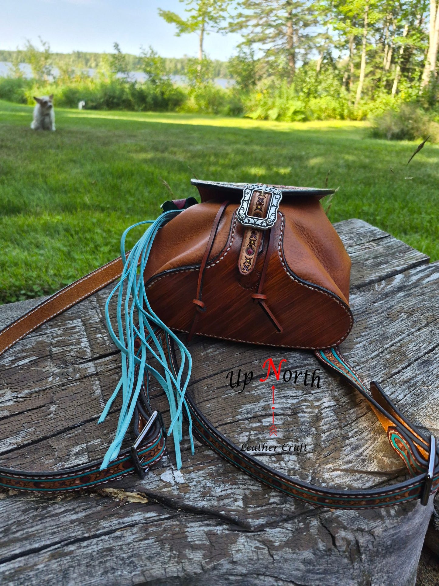(01JP26) The Jack Pine Back Pack - Shades of Summer