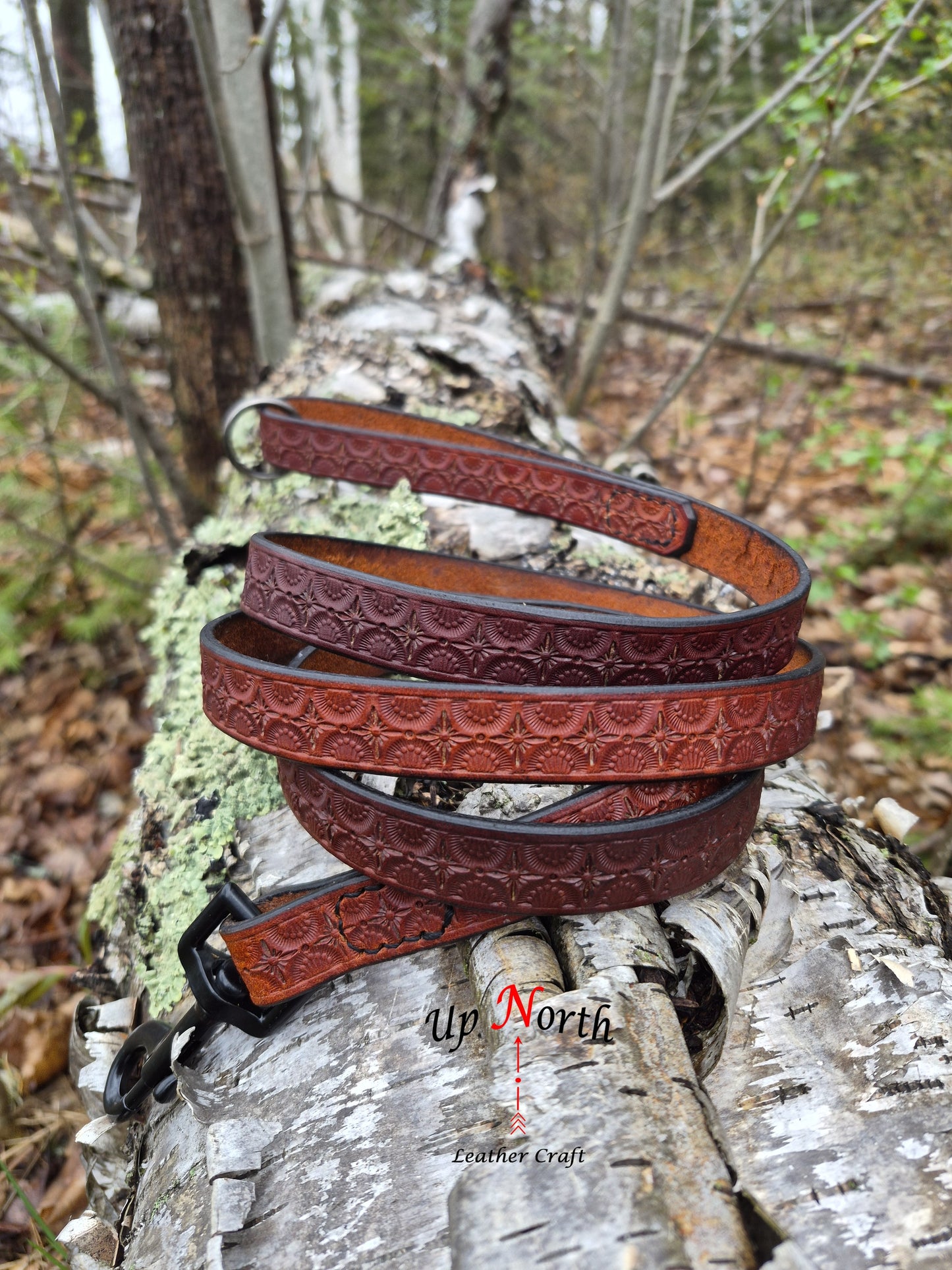 (01LM26) Leather Dog Leash for Medium Dogs - Chili Pepper