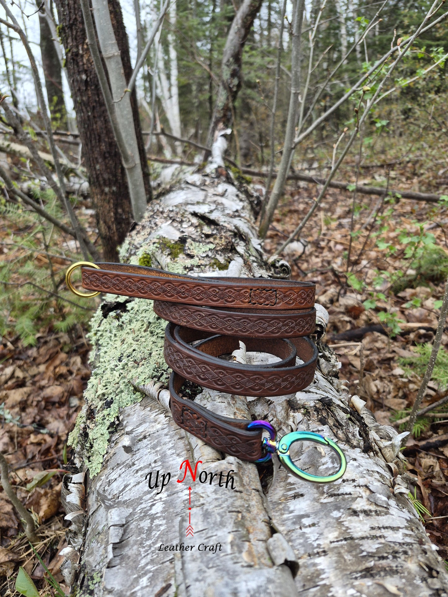 (01LS26) Leather Leash for Small Dogs - Bling!