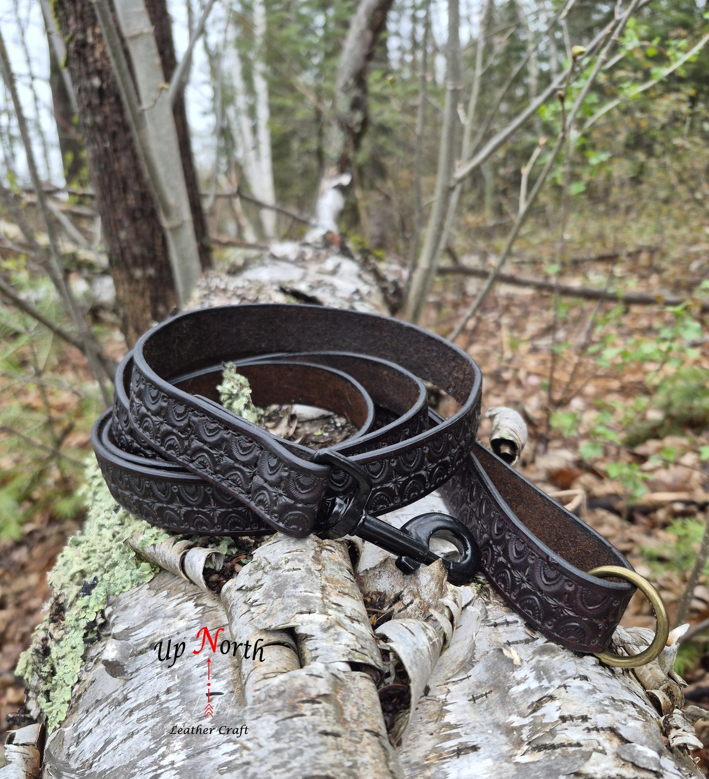 (03LL26) Leather Dog Leash for Large Dogs - Dark Earth