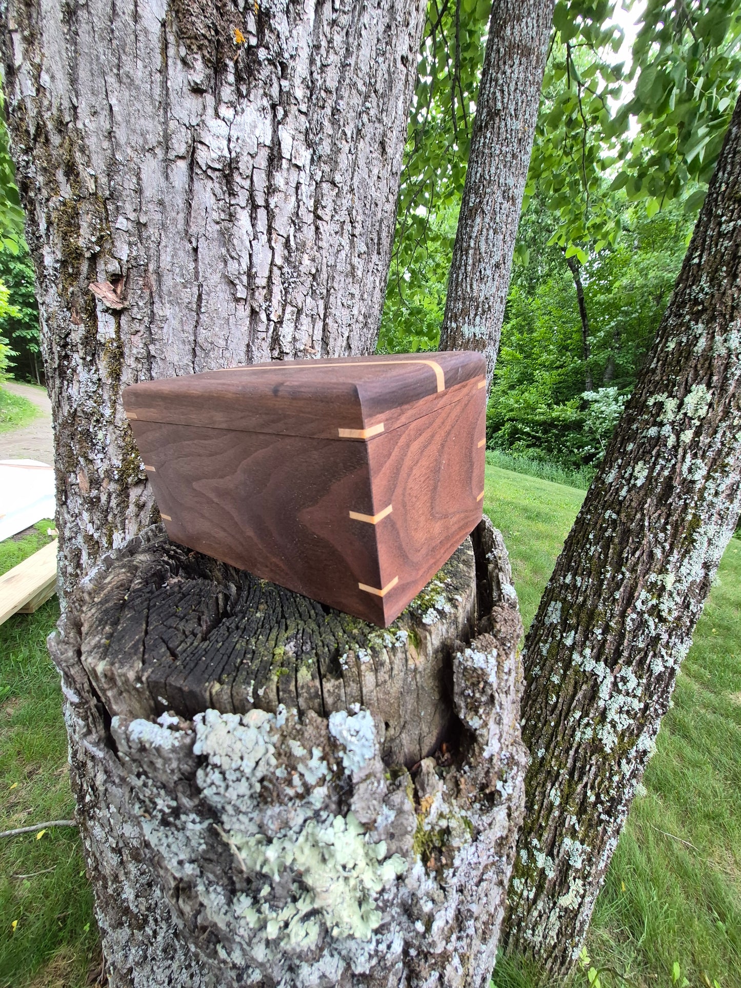 (01WB26) Walnut, Maple and Padauk