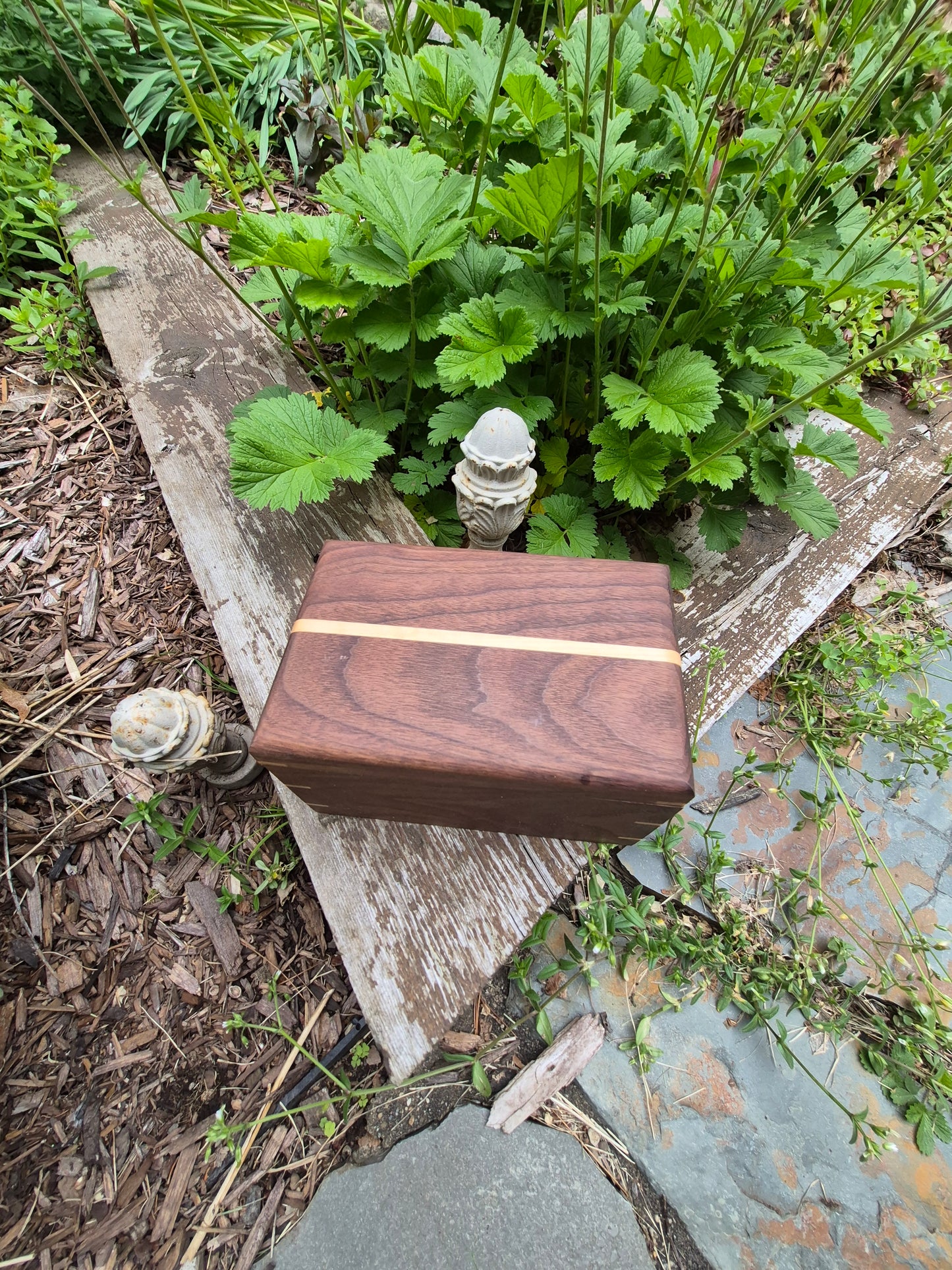 (01WB26) Walnut, Maple and Padauk