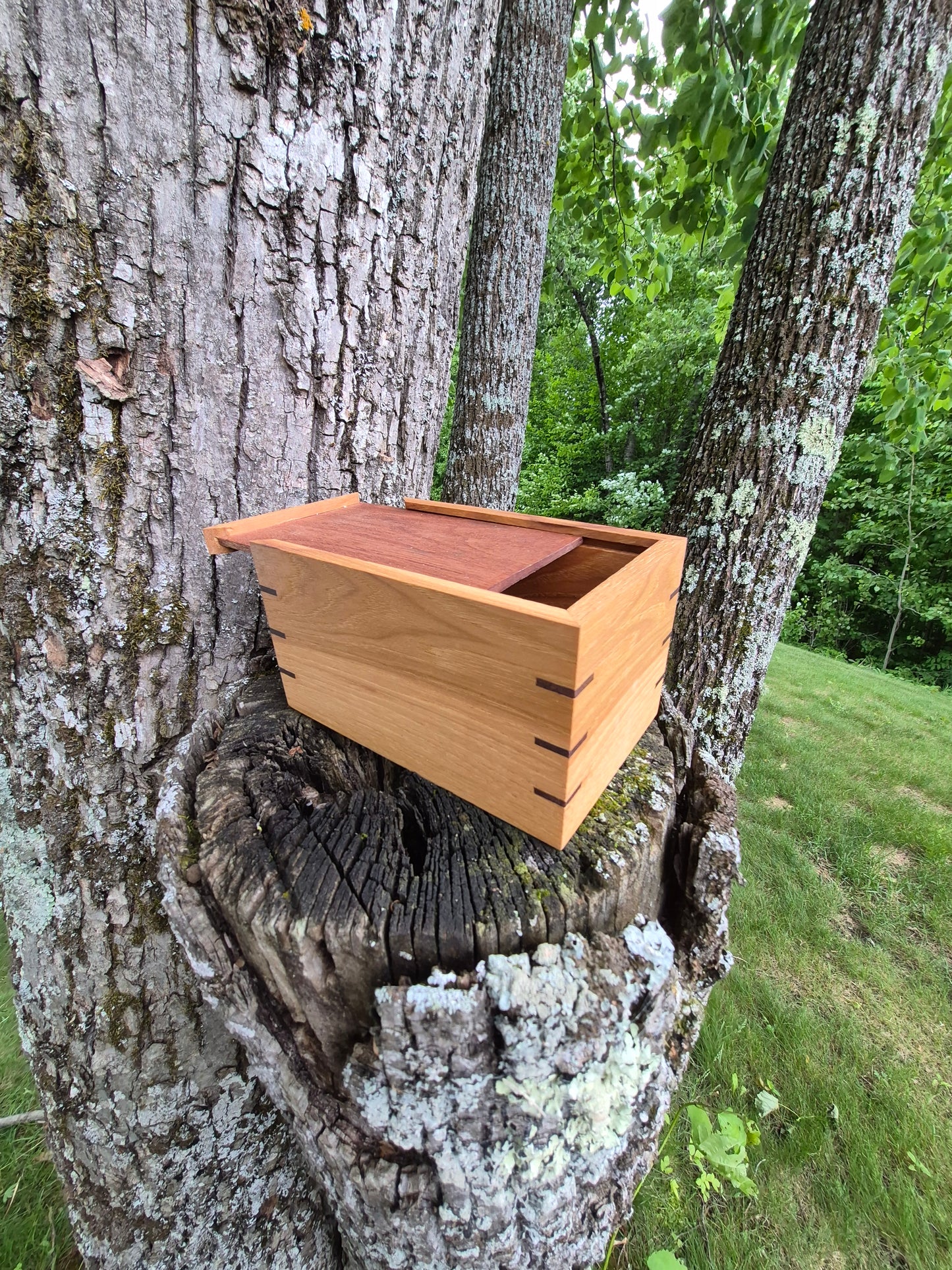 (04WB26) Mahogany and Hickory Wooden Box